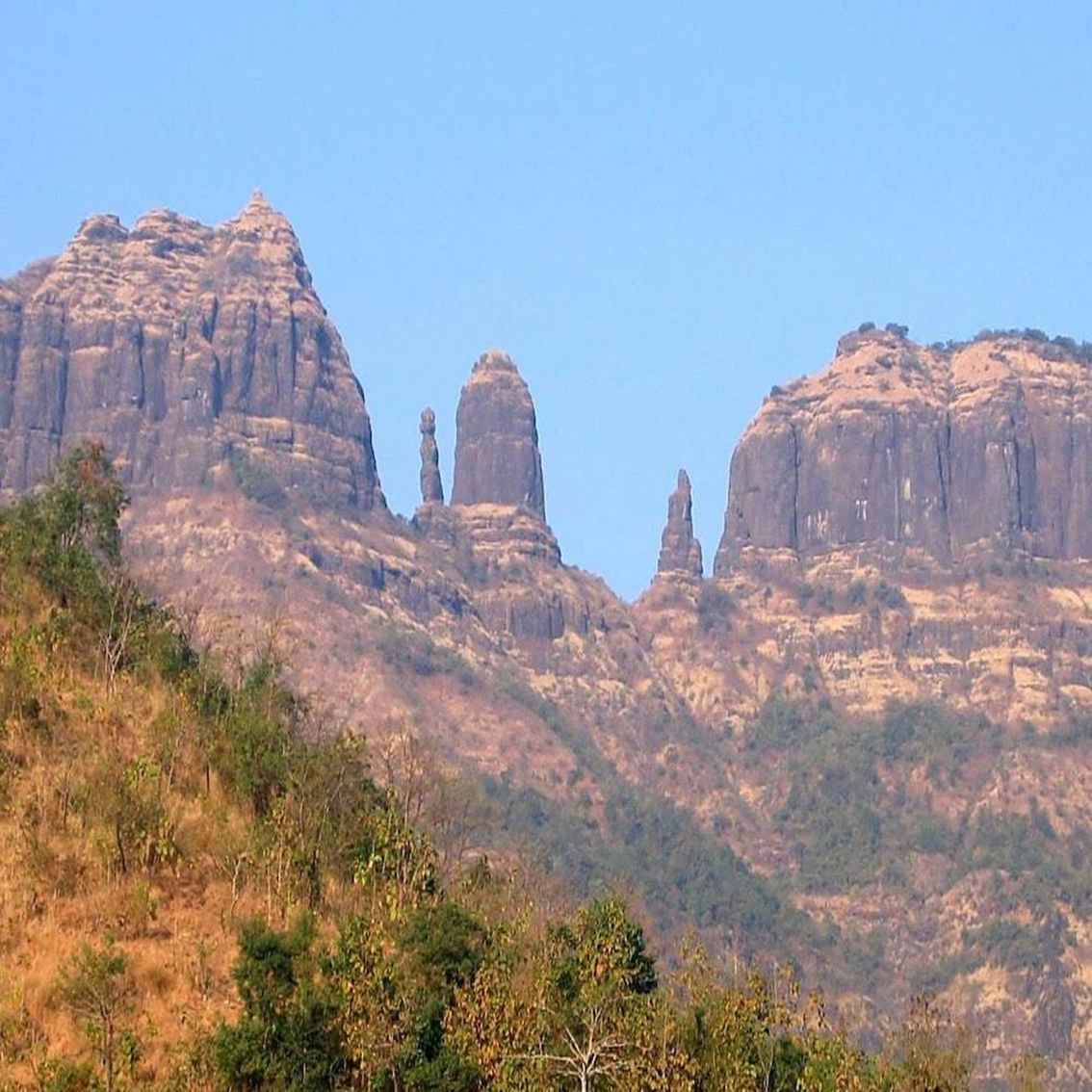 Mauli-Fort.webp